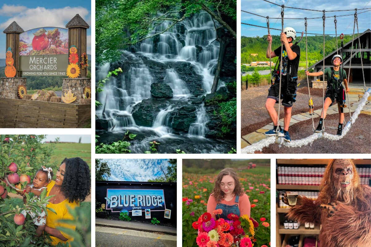 Pick apples, frolic in flower fields, conquer hiking trails, zip through the trees, and sip your way through brewery heaven—adventure (and a good time) awaits!